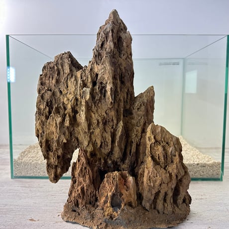 気孔石山（美型） 一点物の水槽オブジェ No. 4946  (45cm水槽)(W約26cm/H約32cm)