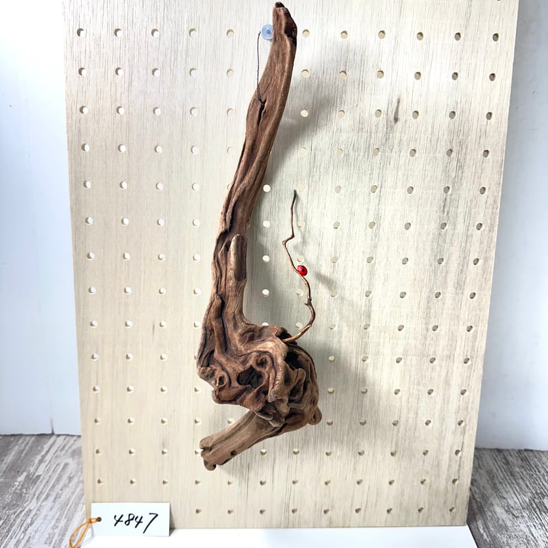 ハンギング流木 (てんとう虫装飾付き） No.4847 | 流木専門店のアクア