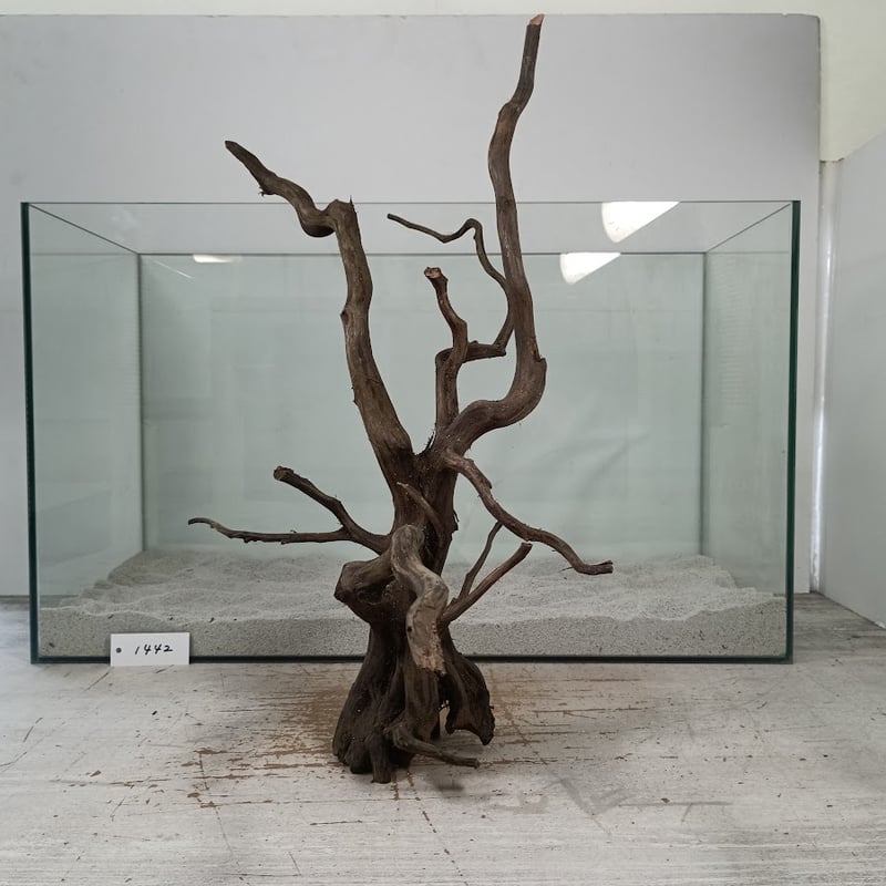 ネシア流木 ブラックタイプ 2Lサイズ 1点ものNo.1442【W約44cm