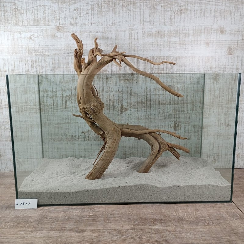 龍のような希少流木ナチュラルブランチ 3Lサイズ W約47㎝ | 流木専門店