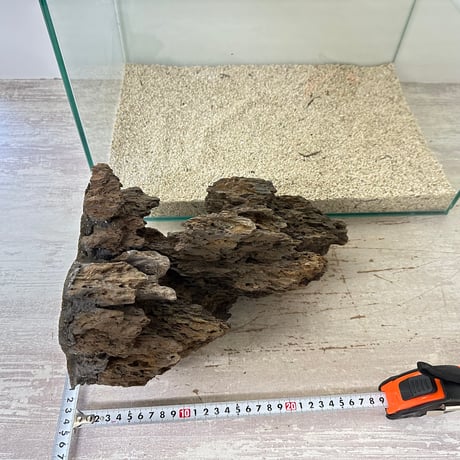 気孔石山（美型） 一点物の水槽オブジェ No. 4950  (45cm水槽)(W約23cm/H約29cm)