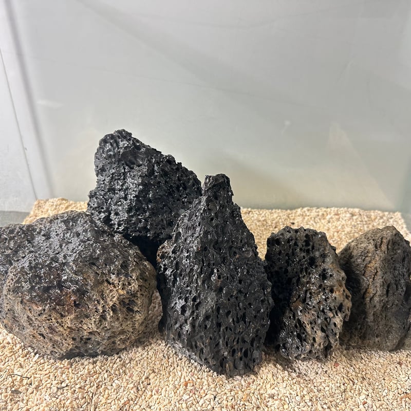 千軒石。中型 火山岩 黒色 不規則形状 千軒石。中型 火山岩 黒色 不規則形状 火山岩石MIX(在庫限定）（約10cm〜