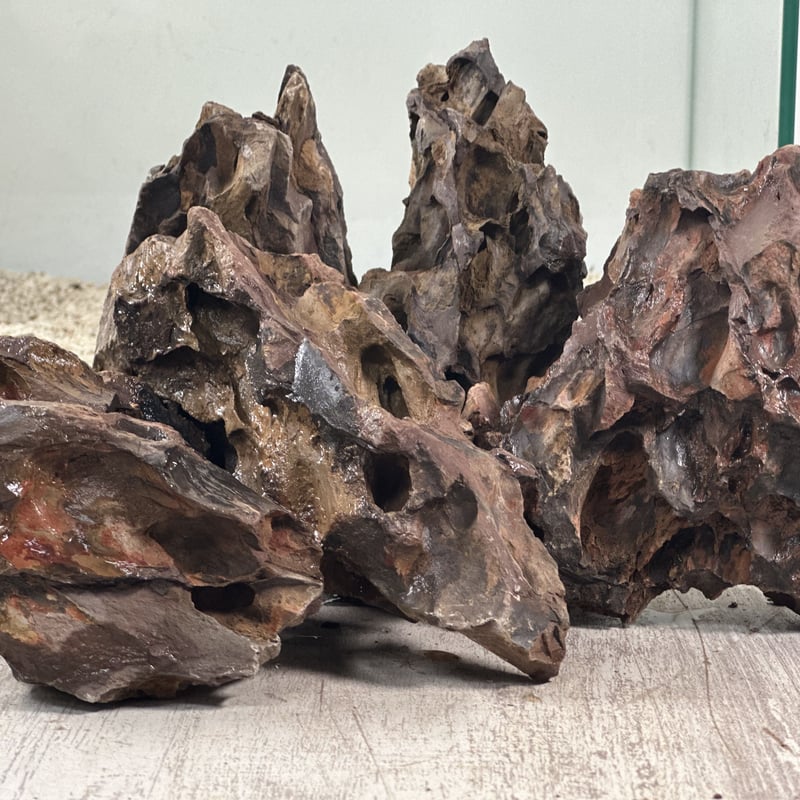 気孔石Sサイズ おまかせ3㎏（kgあたり660円） | 流木専門店の