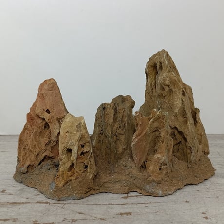 CATEGORY 1点もの（大型） | 流木専門店のアクアリバー/アクアリウム