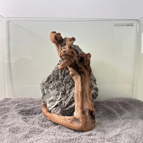 CATEGORY 流木（全種類） | 流木専門店のアクアリバー/アクアリウム