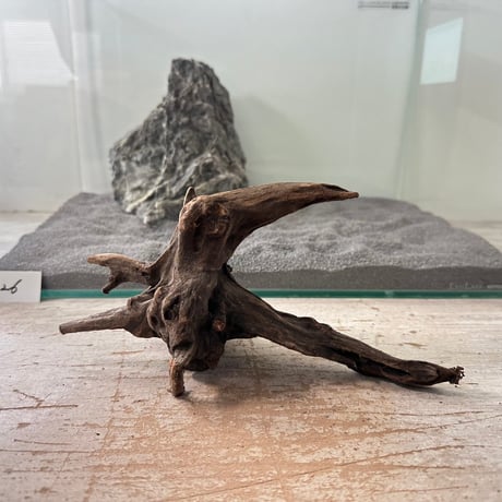 CATEGORY 流木（全種類） | 流木専門店のアクアリバー/アクアリウム