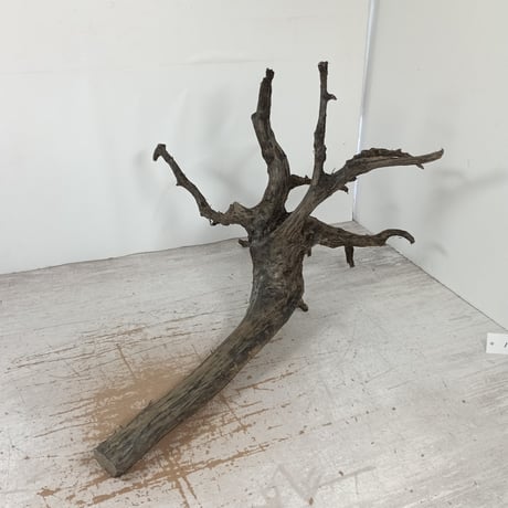ITEM | 流木専門店のアクアリバー/アクアリウム/グリーンインテリア