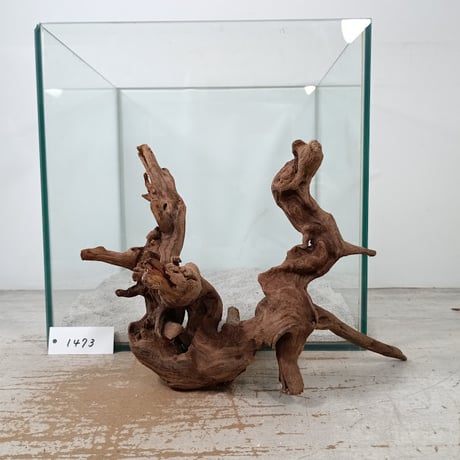 ⭐️天然⭐️ ￼ 1品物⭐️ 流木　水槽　アクアリウム　テラリウム　約80cm アクアリウム 流木 水槽 テラリウム 爬虫類 熱帯魚 ーVer2ー