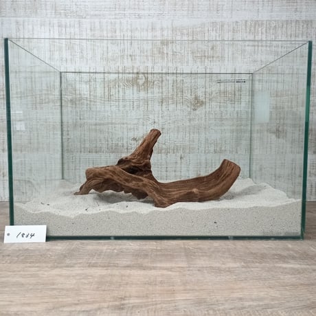 穴あき美マングローブ系流木   Lサイズ　オンリーワン ★現物撮影  1点　No.1834(W約34㎝）