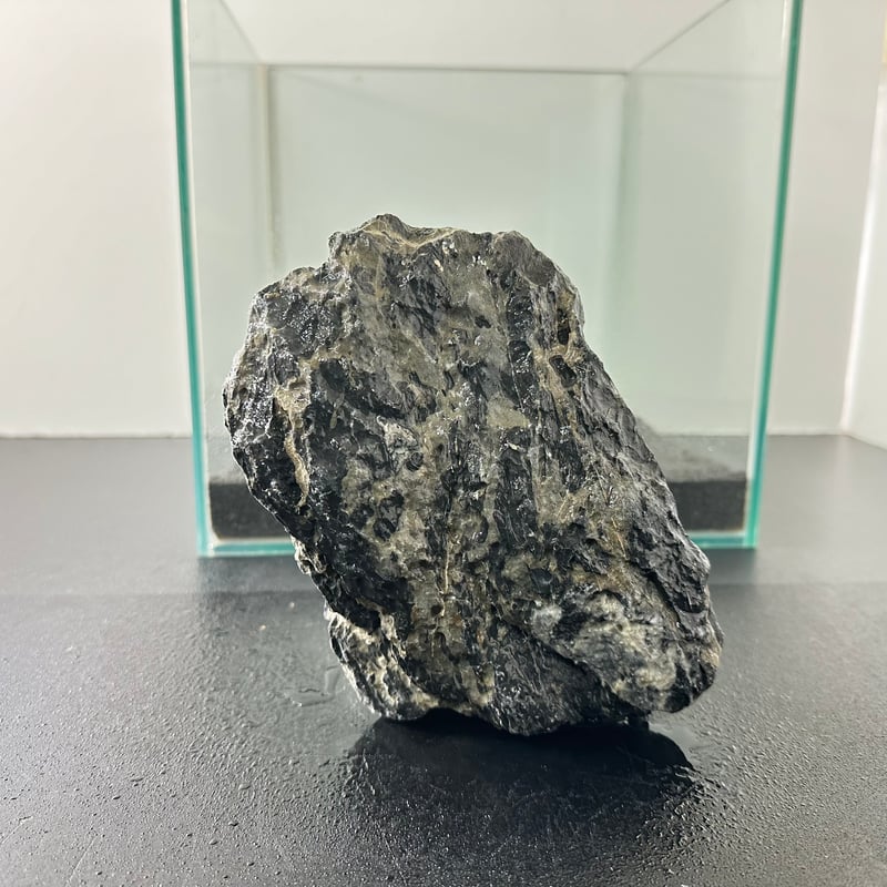 BIGドラゴンストーン 1点もの No.5555(W約18cm) (30cm水槽 BIGドラゴンストーン 1点もの No.5555(W約18cm) (30cm水槽
