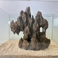 気孔石山（幅大きめ）（美型） 一点物の水槽オブジェ No. 4945  (45cm水槽)(W約28cm/H約28cm)