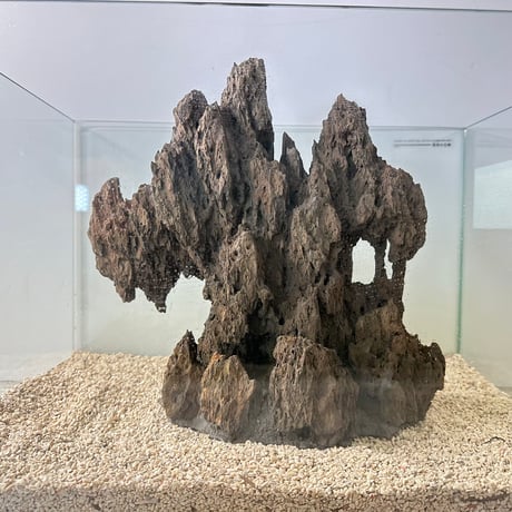 SALE | 流木専門店のアクアリバー/アクアリウム/グリーンインテリア