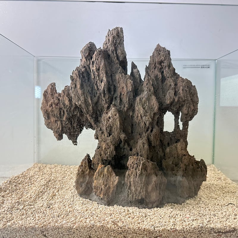 気孔石オブジェ⚫︎インテリア 置物 天然 自然 シンプル 気孔石山（幅大きめ）（美型） 一点物の水槽オブジェ No. 4945