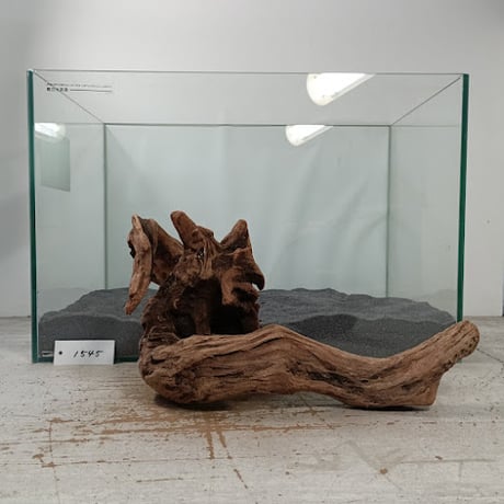 CATEGORY Lサイズ | 流木専門店のアクアリバー/アクアリウム/グリーン