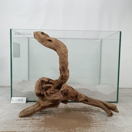 CATEGORY 流木（全種類） | 流木専門店のアクアリバー/アクアリウム