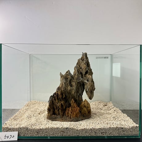 気孔石山（美型） 一点物の水槽オブジェ No. 5072  (45cm水槽)(W約20cm/H約28cm)
