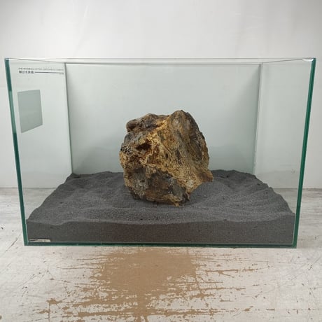 BIG木化石　１点もの　NO.1620（W約20cm/H約16cm)(45cm水槽）