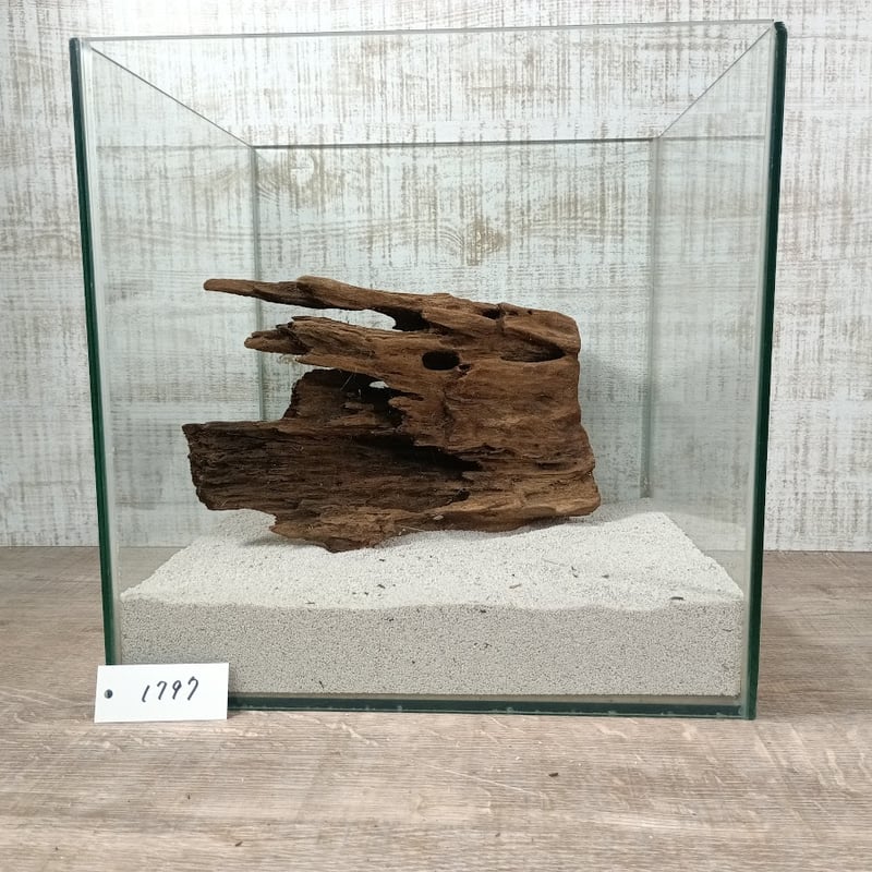 希少山型流木 Lサイズ オンリーワン ☆現物撮影 1点 No.1797(W約26㎝）