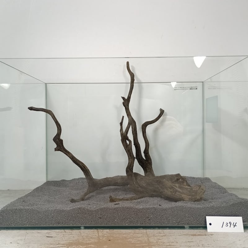 ネシア流木 ブラックタイプ Lサイズ 1点ものNo.1394【W約41cm】 | 流木