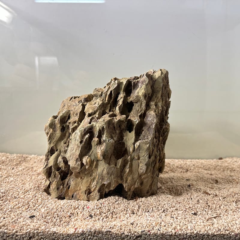 蒸気孔　4枚 蒸気孔4枚