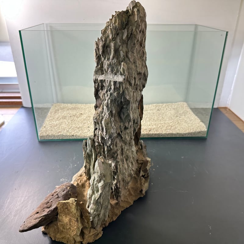 超BIG気孔石山（美型） 一点物の水槽オブジェ No. 5077 (60cm水槽)(W約