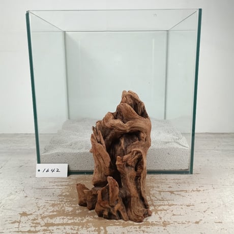 CATEGORY Sサイズ | 流木専門店のアクアリバー/アクアリウム/グリーン