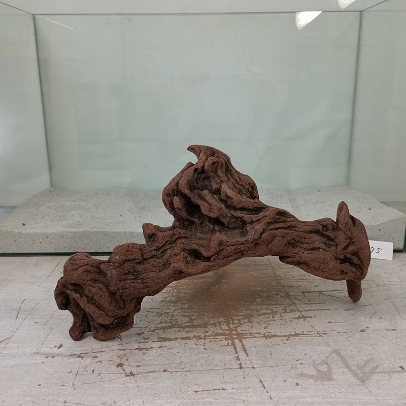 穴あきフォルム マングローブ系流木 MLサイズ オンリーワン ☆現物撮影