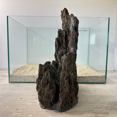 気孔石山（美型） 一点物の水槽オブジェ No. 4947  (45cm水槽)(W約23cm/H約31cm)