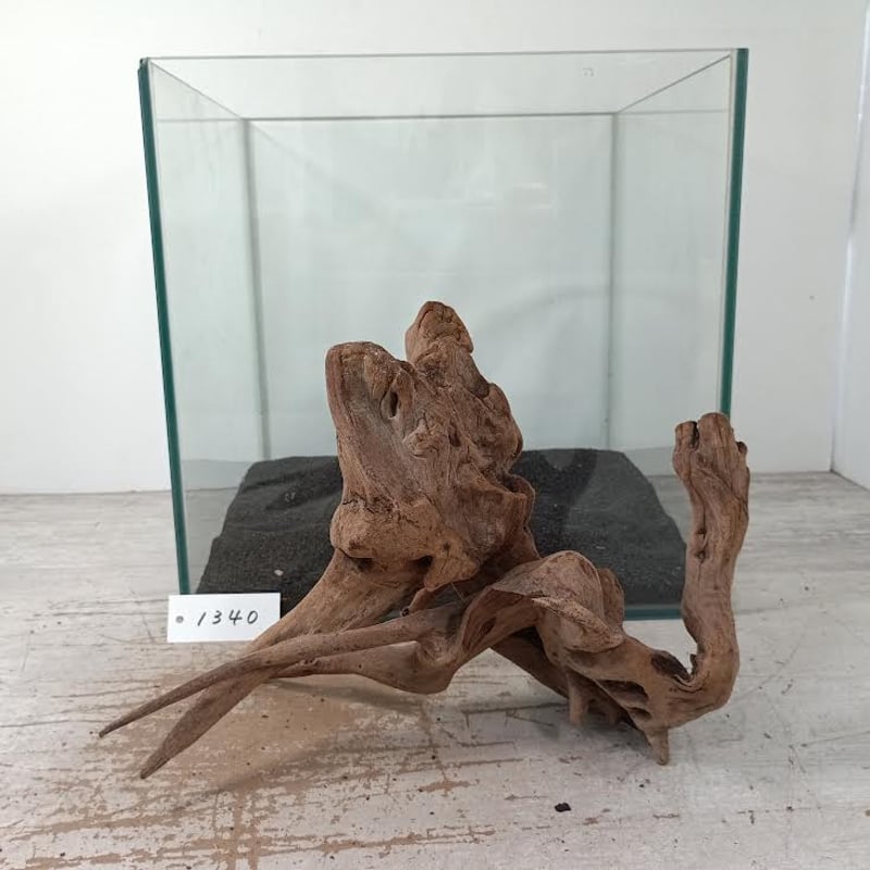 自然美マングローブ系流木 Mサイズ オンリーワン ☆現物撮影 1点 No