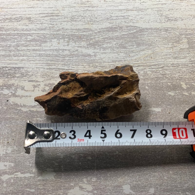 気孔石SS 1㎏セット | 流木専門店のアクアリバー/アクアリウム