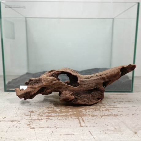 流木専門店のアクアリバー/アクアリウム/グリーンインテリア