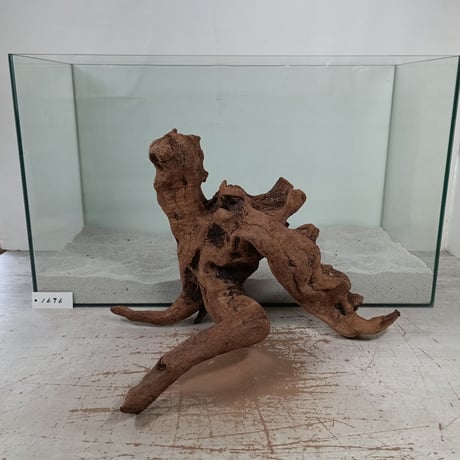 CATEGORY マングローブ系流木 | 流木専門店のアクアリバー