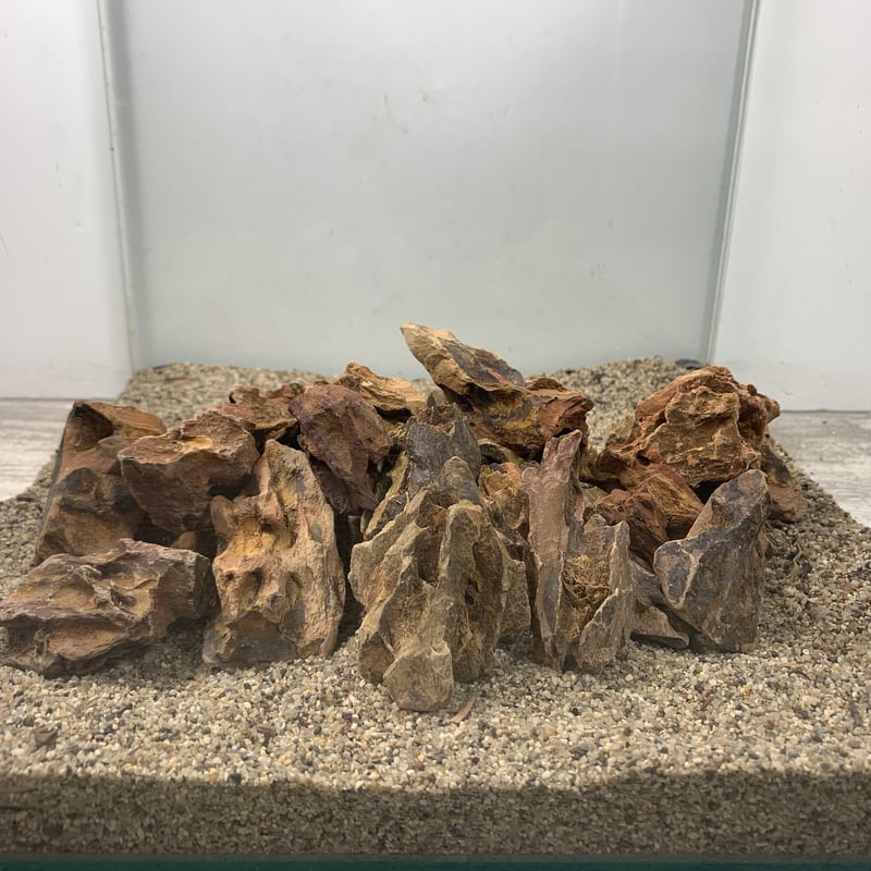 アクアテラリウム　気孔石　No.5-no.4set アクアテラリウム 気孔石 No.5-no.4set MQS-2425 気孔石