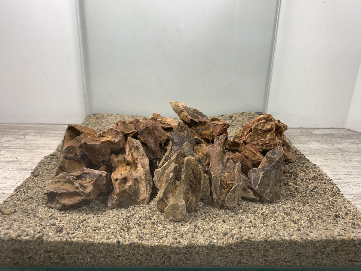 Authur　気孔石　14kg Amazon | 気孔石 黄虎石 蜂炎石 水槽 アクアリウム 花壇