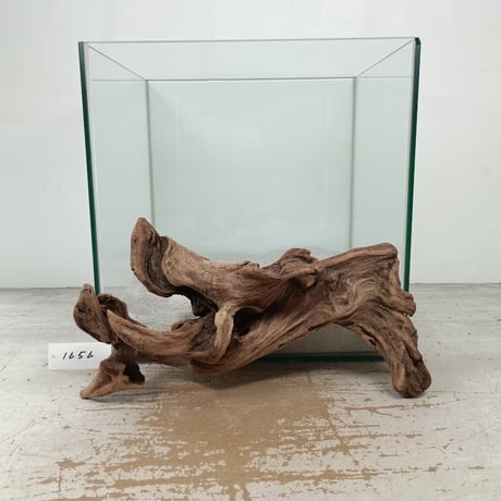 流木専門店のアクアリバー/アクアリウム/グリーンインテリア