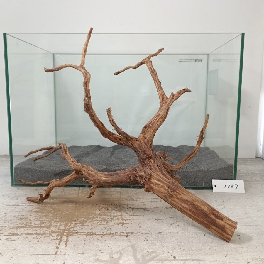 ネシア流木 ネシア流木 ブラックタイプ Lサイズ 1点ものNo.1364【W約37cm