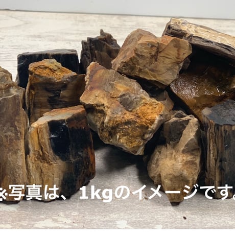 木化石　アクアリウム　まとめ売り 楽天市場】形状お任せ 木化石 サイズミックス 5kg 45cm水槽向け