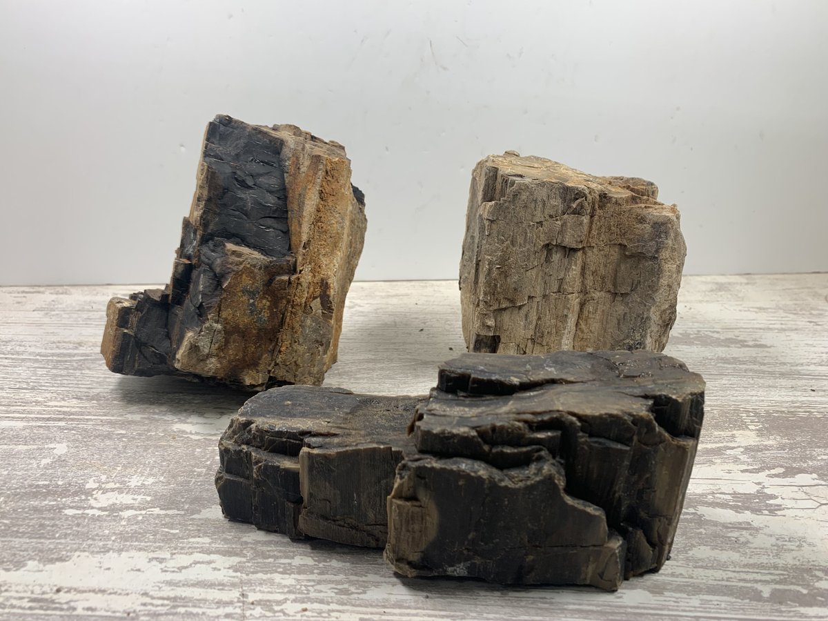 木化石 レギュラー 3kg セット（kgあたり650円） | 流木専門店のアクア