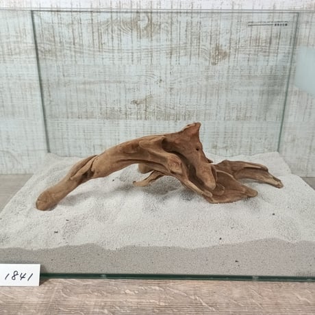 マングローブ系流木   Lサイズ　オンリーワン ★現物撮影  1点　No.1841(W約38㎝）