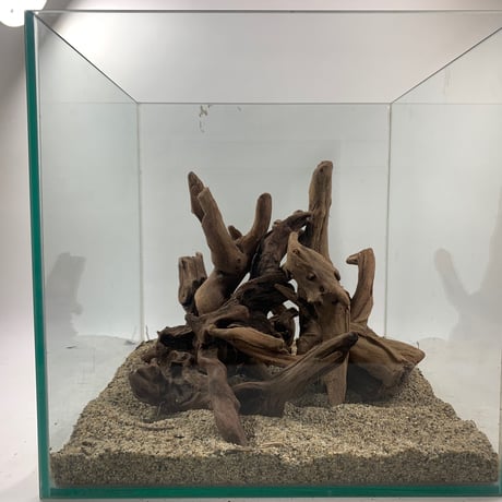 マングローブ系流木 Sサイズ15cm〜25cm  おまかせ5本×３セット（合計15本）