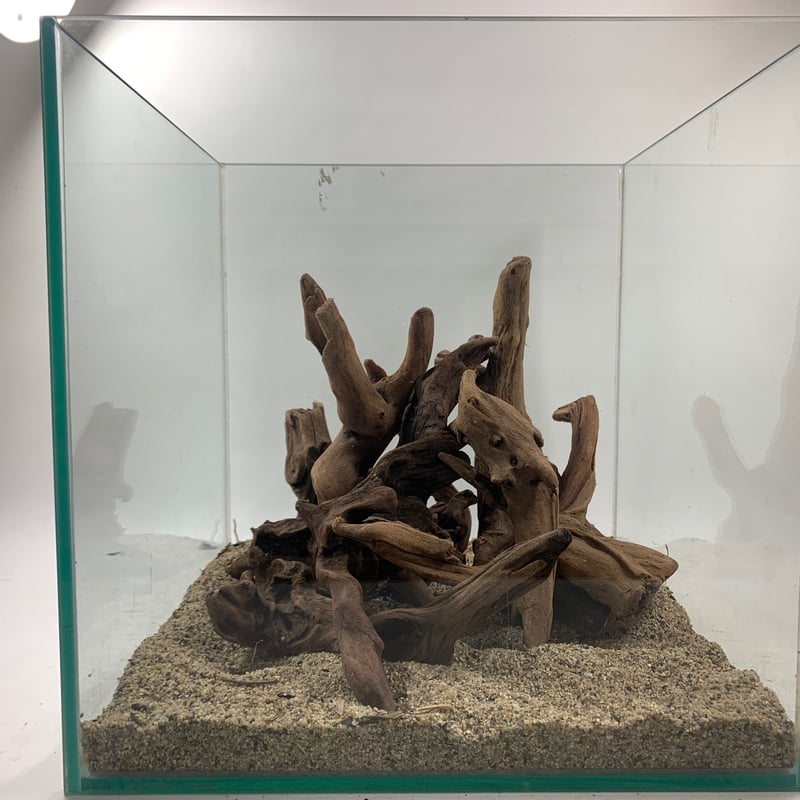 マングローブ系流木 Sサイズ15cm〜25cm おまかせ5本×3セット(合計15 マングローブ系流木 Sサイズ15cm〜25cm おまかせ5本×3セット(合計15