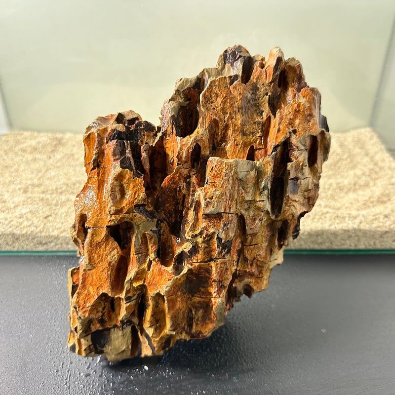 BIG気孔石塊 1点もの No.5017（W約30cm)(60cm水槽） | 流木専門