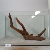 マングローブ系流木 Mサイズ 約25〜35㎝ おまかせ9本セット