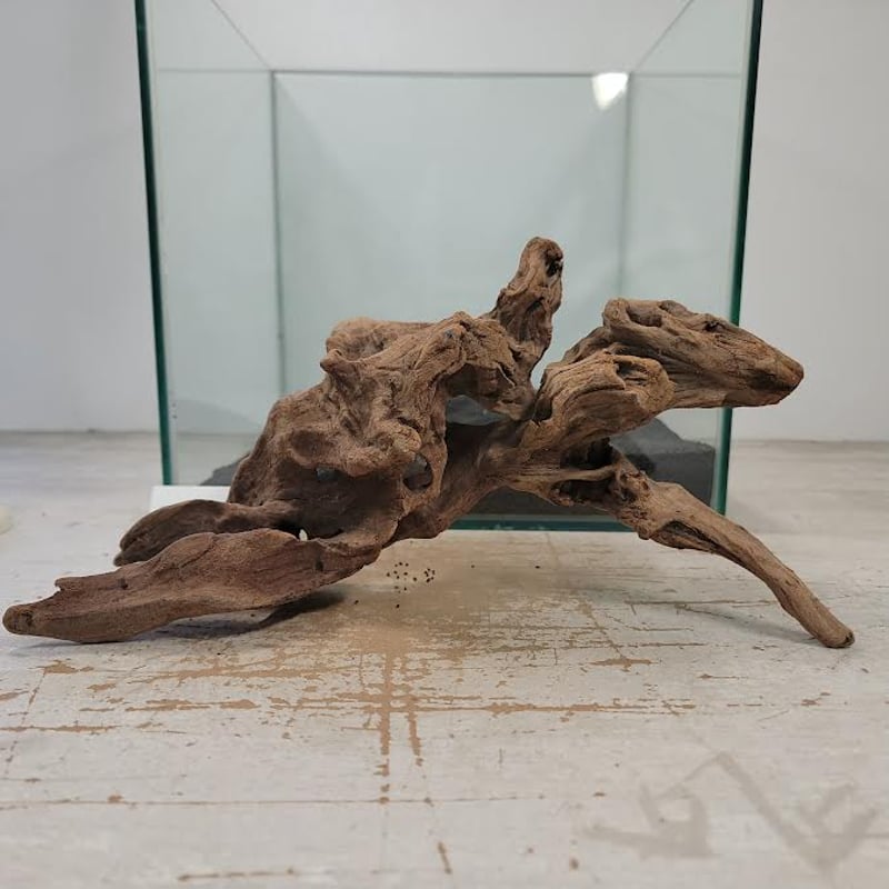 A-STYLE マングローブ流木 超大量 水中管理 沈水済み アク抜き済 32