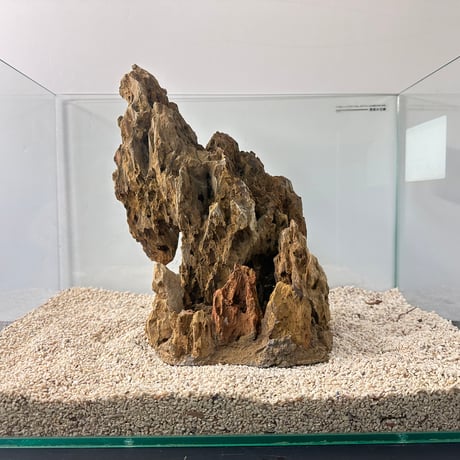 気孔石山（美型） 一点物の水槽オブジェ No. 5068  (45cm水槽)(W約21cm/H約27cm)