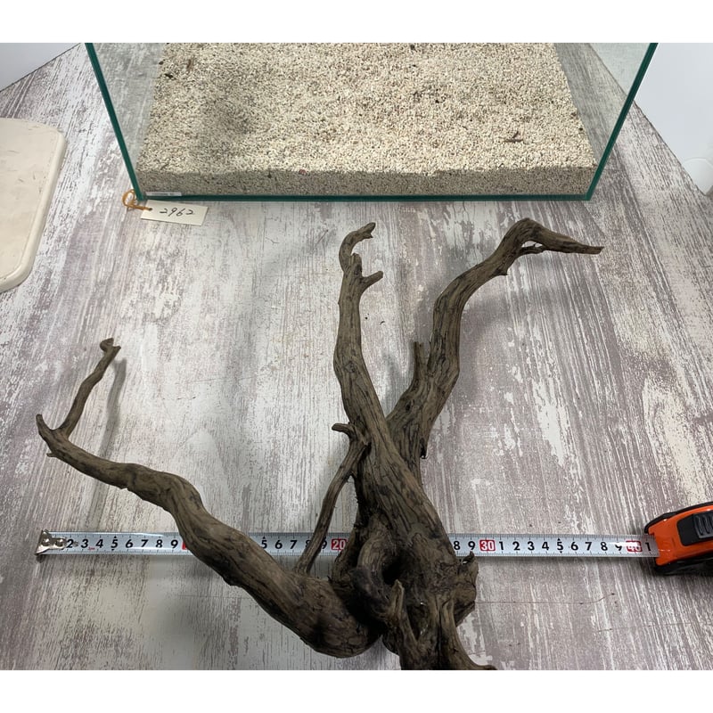 ❹【コンクリート盆栽 流木オブジェ】アクセサリー インテリア アート 爬虫類 ➃コンクリート盆栽 流木オブジェアクセサリー インテリア アート