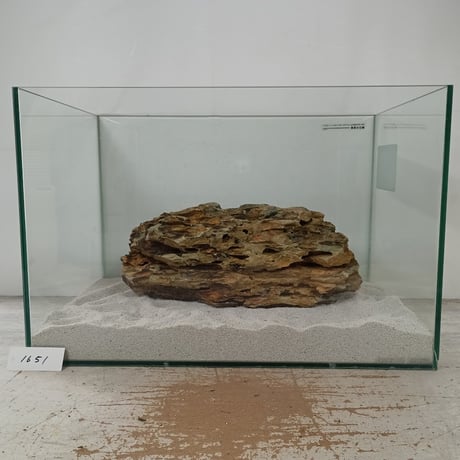 BIG気孔石塊　１点もの　No.1651（W約33cm)(45cm水槽）