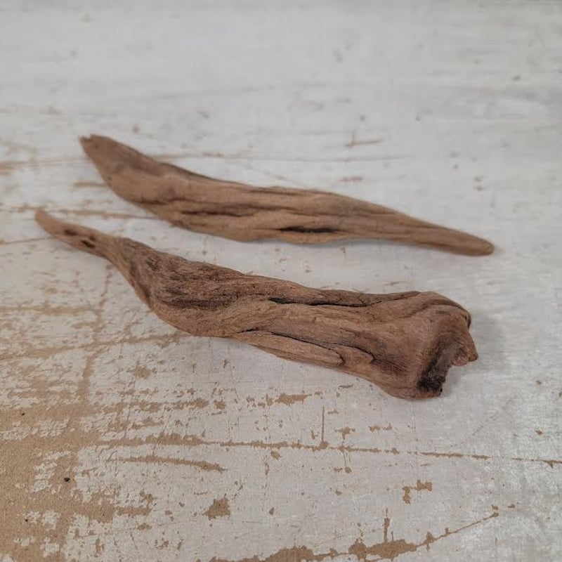 Cheicooo　流木 お買い得・マングローブ系ショートステック流木 1kg入(約30本