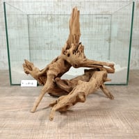 マングローブ系流木   Lサイズ　オンリーワン ★現物撮影  1点　No.1816(W約30㎝）