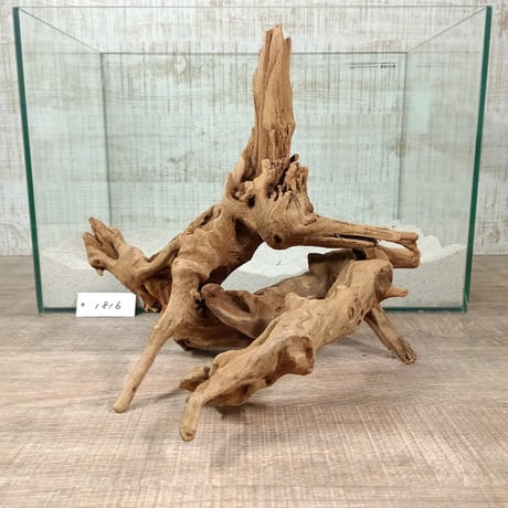 CATEGORY マングローブ系流木 | 流木専門店のアクアリバー